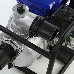 image019(001) image019(001)