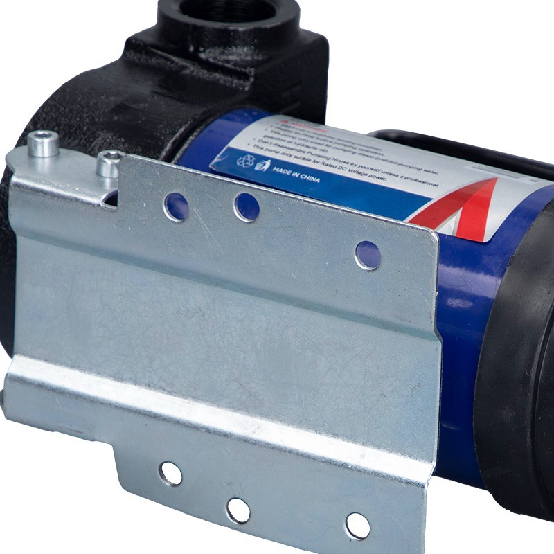 SALI High-efficiency Transfer 12V DC Oil Pump high quality